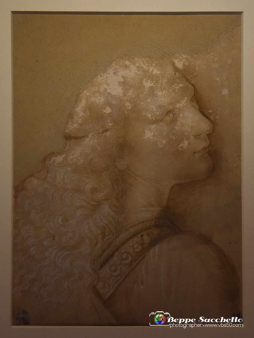 VBS_9742 - Mostra A tu per tu con Leonardo.jpg